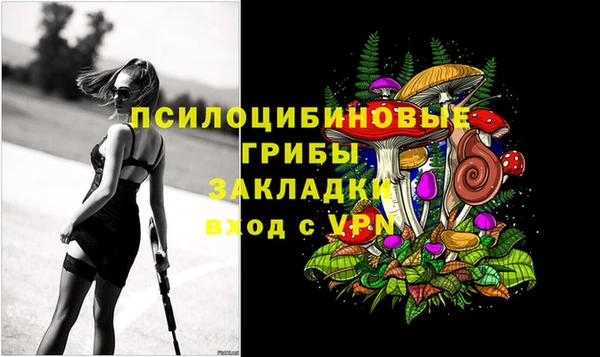 прущая мука Алзамай