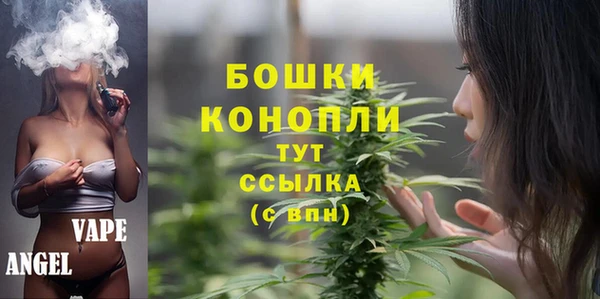 спайс Алексин