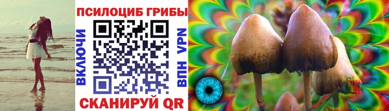 дарнет шоп  Гаджиево  Галлюциногенные грибы Psilocybine cubensis 